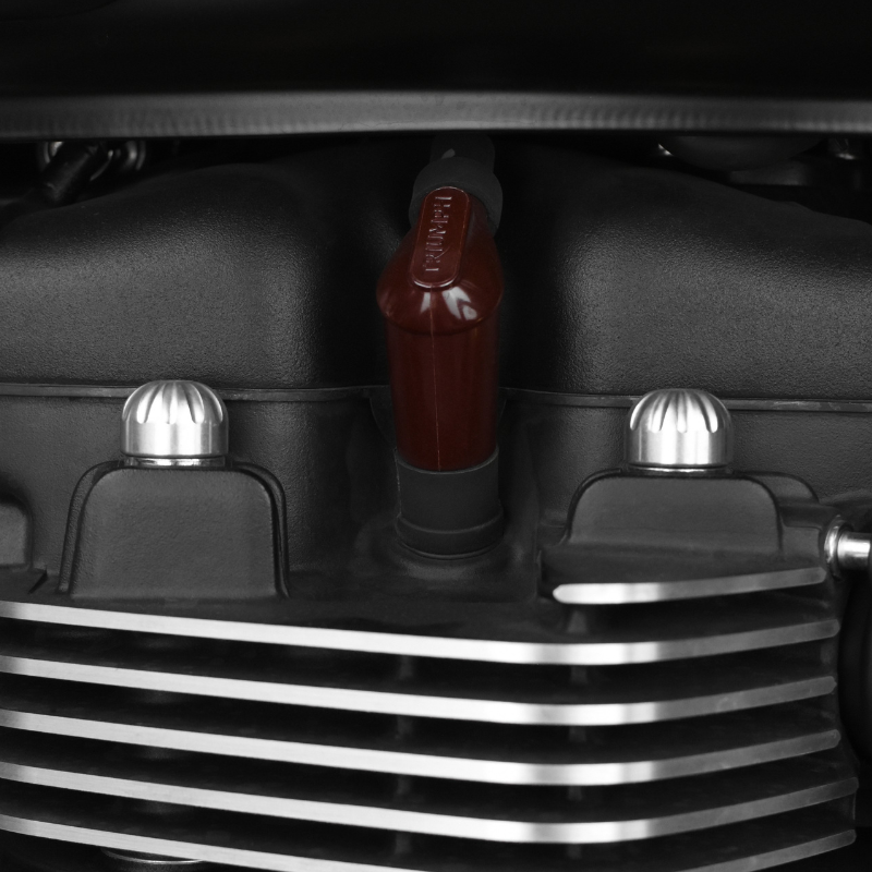 Capuchons décoratifs de vis de culasse - Triumph Classic