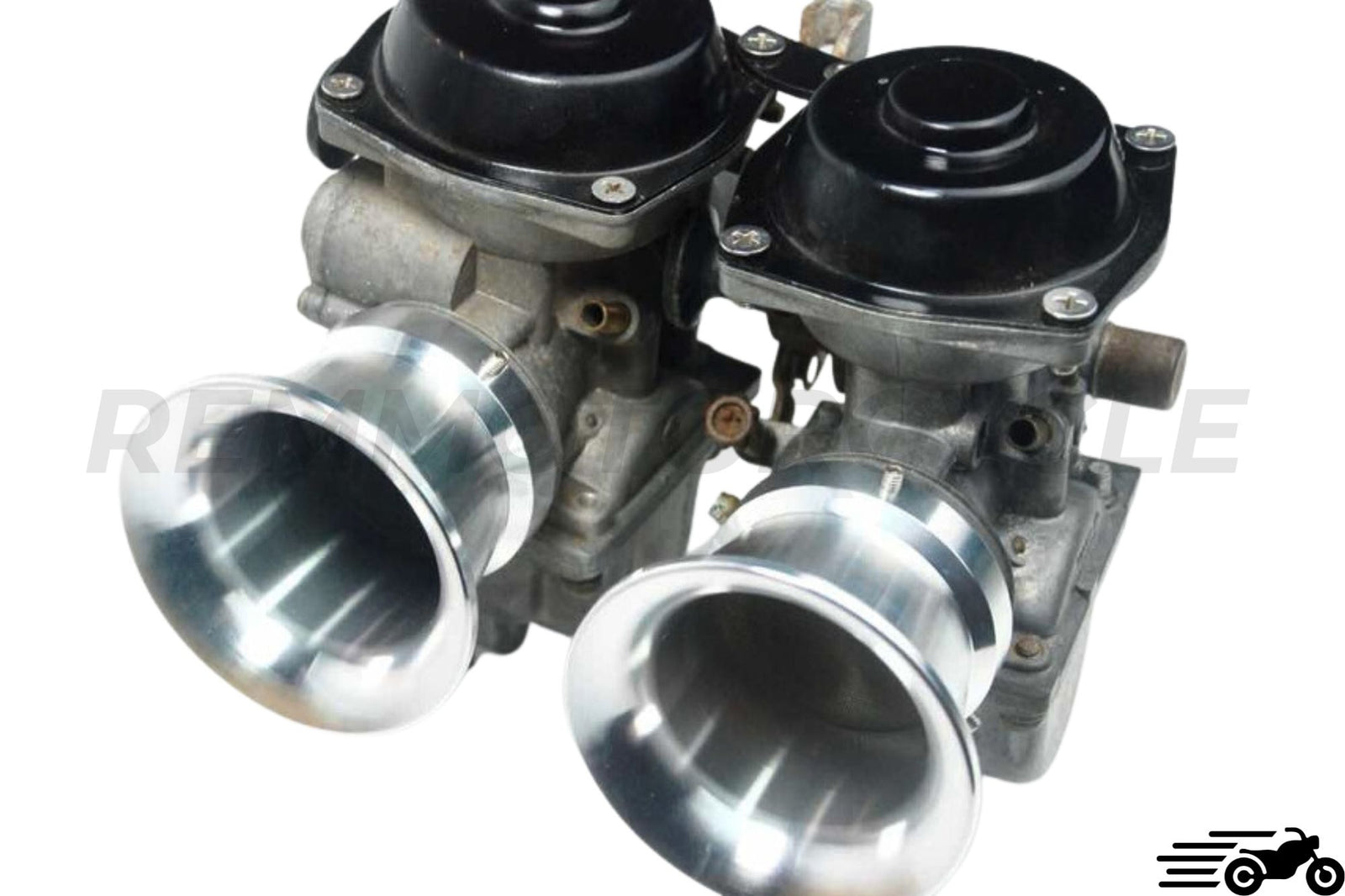 60 mm tulipan z siatką