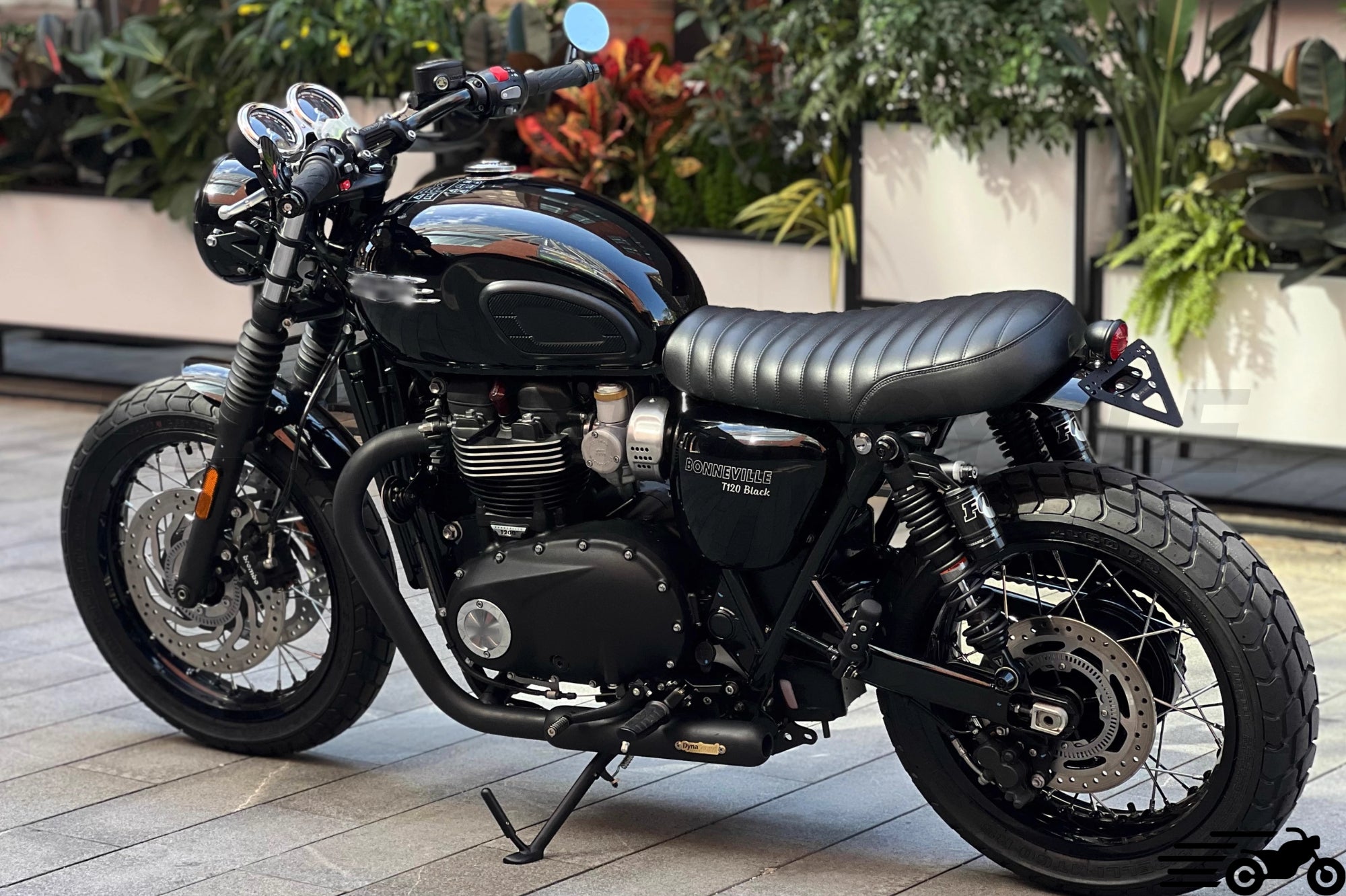 Echappement court Triumph Bonneville T100