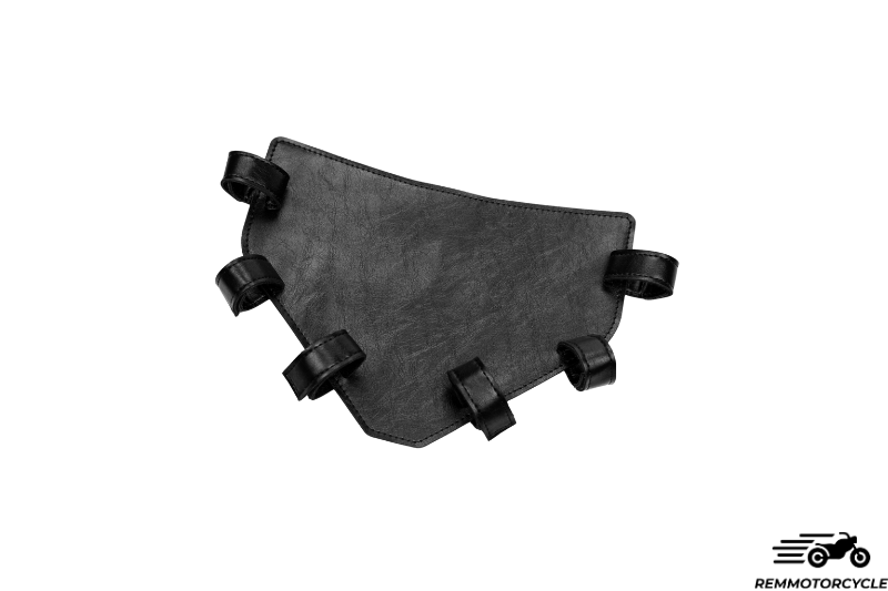 Zestaw wstępu do Titane do Triumph Bobber