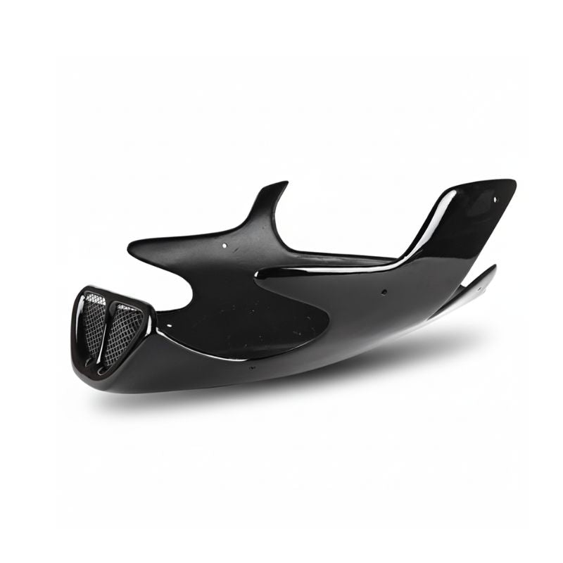 Sabot moteur composite BMW R Nine T