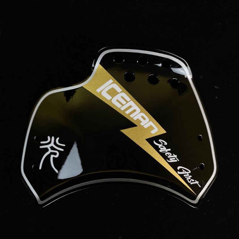 Saut de vent plaque latérale personnalisé Triumph 400 X