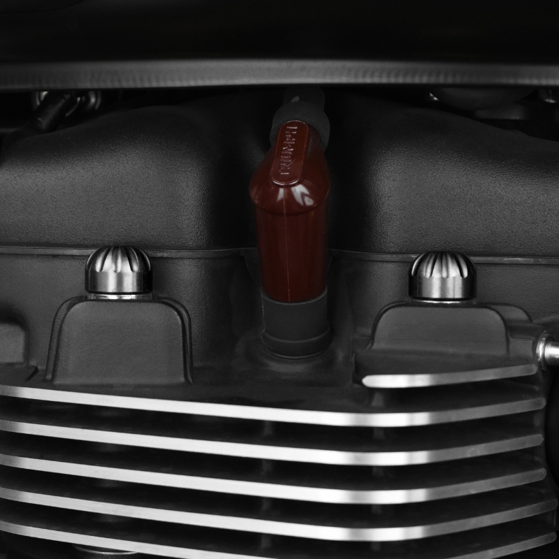 Capuchons décoratifs de vis de culasse - Triumph Classic