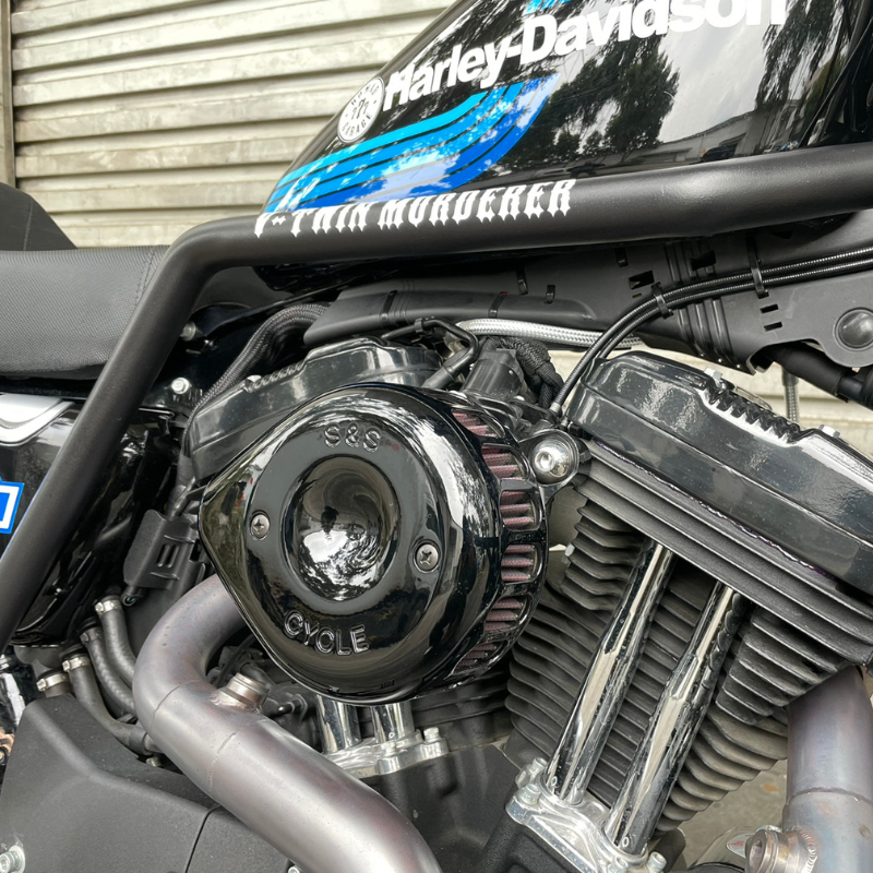 Gmole Harley Sportster