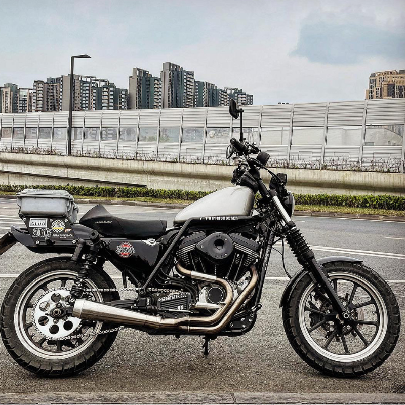 Gmole Harley Sportster