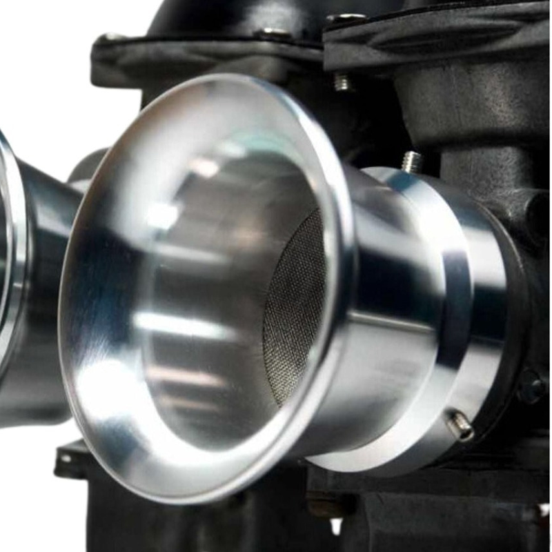 60 mm tulipan z siatką